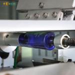 Automatic Plastic Lotion Bottle Silk Screen Printing Machine Single Color