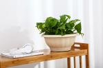 30cm Colander PP 10 Inch Nursery Resin Terracotta Plant Pots