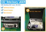 Protable Fractional Co2 Laser Treatment Machine For Skin Resurfacing / Wrinkles
