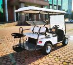 30 km/h 4 KW AC Motor Acid Battery Powered 4 Seater Golf Cart High End Golf Cart