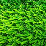 Decorative Artificial landscaping grass turf indoor outdoor putting green