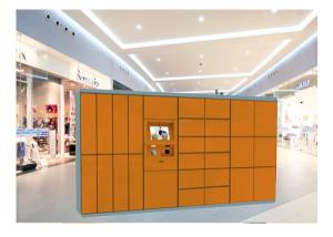 Wholesale Clothes Drying Laundry Service Equipment Storage Closet Cabinet Steel Locker With Network from china suppliers