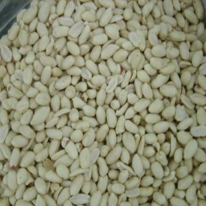 Wholesale Delicious Blanched Peanuts / Red Skin Peanuts Fast Fresh Food For Eating / Oil Processing from china suppliers