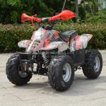 110cc Chain Rotating Four Wheel ATV Maximum Torque Nm 20-40Nm Driving Mileage 50