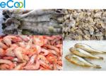 Custom Industrial Cold Storage 3000 Tons , Cold Room For Frozen Seafood