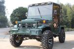 300CC 4 wheeler UTVs Gas 2 Seats UTV 4x4 Buggy car moto Quad bike off road