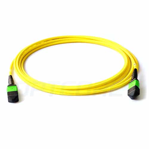 10G 40G MTP To MTP OM4 Fiber Patch Cord Singlemode / Multimode Simplex