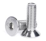 Stainless Steel Polishing High Wear Assistance ISO7380 for Fastening Wood Flat