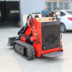 Chinese Mini Skid Steer Loader with MOOG Hydraulic Cylinder and 0-6km/h Working