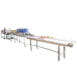 Wholesale Peach Cleaning Drying Machine Vegetable Cutter And Washing Machine Line from china suppliers