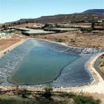 Geomembrane Pond Liner Industrial Design Style Fish Tank for Environmental
