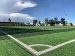 Unique Diamond Football Artificial Turf Olive Bi Color PE Composition