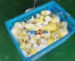 200g Volume Solid Air Freshener Filling Line ISO9001 Certification