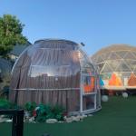 Factory Direct Garden Sunroom Beach Outdoor Transparent Dome Camping Tent Tiny