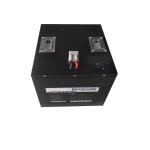 Safety Guarantee 50Ah Lithium Ion 48V LiFePO4 Battery Li Ion For ESS