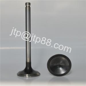 Wholesale Intake &amp; exhaust Valve For Nissan PE6 Engine IN 13201-96002/EX 13202-96002 from china suppliers