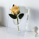 15 X 20cm Acrylic Lucite Flower Box , Clear Acrylic Flower Stands 8mm Thick