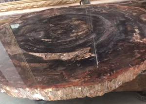 China Polished Brown Natural Semi Precious Stone Slabs Petrified Wood on sale