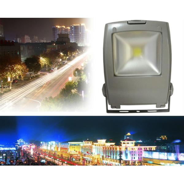 Super Long life Span Penguin 30W LED Flood Light