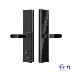 Buy cheap Key Password Card Fingerprint Smart Lock Aluminum Alloy and Tempered Glass from wholesalers