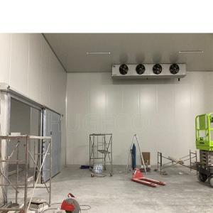Wholesale prefabricated Modular cold storage for chicken meat and fresh fruits vegetable from china suppliers