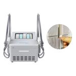 300w Ems Cryolipolysis Fat Freezing Machine Slimming ​Cryo Plates