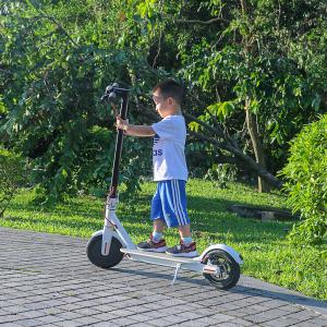 Wholesale EcoRider 2 Wheels Self Balancing Scooters 500W 8.5 Inch 36V Xiaomi Scooter Mobility from china suppliers