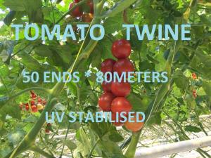 Wholesale Greenhouse Tomato Tying Twine Colorful Plastic Garden Packing Raffia String from china suppliers