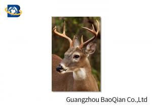 Animal Lenticular Greeting Cards , Deer 3D Greeting Cards For Christmas / New Year