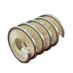 Customized Inside Helical Coil Spring Brush For Cleaning