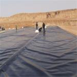 0.75mm HDPE Geomembrane Fish Farm Pond Liner for Aquaculture ASTM GRI-GM13