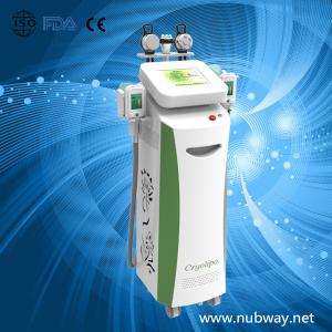 Wholesale Vertical amazing result cryolipolysis body slimming equipment to losing weight from china suppliers