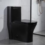 Ceramic One Piece Toilet Tall American Standard No Loosen Seat Commode