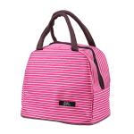 SGS Silk Printing Logo H30Cm Insulated Lunch Cooler Bags