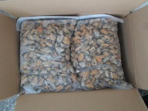 China Frozen mussel meat, Mytilus edulis on sale