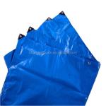 Waterproof Outdoor Plastic Cover in Blue Poly Tarp for HDPE Fabric and 500D Yarn