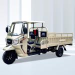 Front Drum Rear Drum Brake System 250cc Petrol Cargo Tricycle for Elderly and
