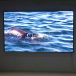 P3.91 Indoor Full Color Screen Rental LED Display Exhibition Hall Electronic TV