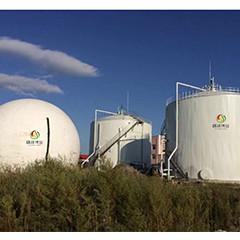 Wholesale Animal Manure Gobar Biogas Plant Design And Construction Project from china suppliers