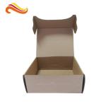 Printed Corrugated Paper Box Cardboard Shipping Foldable Mailer Containers