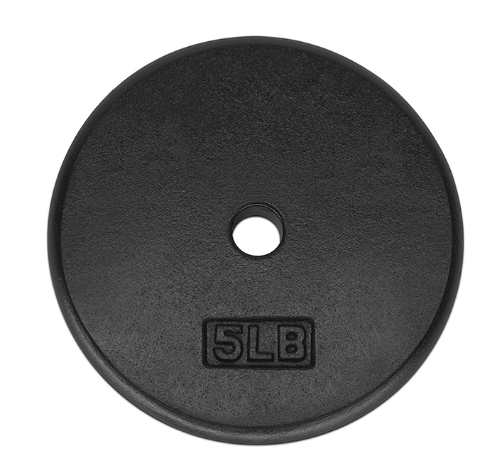 weight disc.jpg