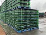 9-32mm Width PET Packing Strap Extrusion Machine 100% Recycled Bottle Flakes