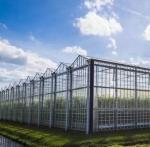 Hydroponics Cultivation Method Commercial Heating Garden Glass Greenhouse for