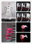 double handle cryolipolysis +laserlipo+cavitation+RF body slimming Machine