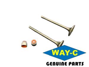 Wholesale Motorcycle Engine Valve Kit M1010550 / M1010560 Intake Exhaust Val For TVS HLX125 from china suppliers