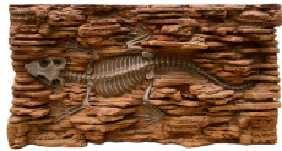 Wholesale PU Simulated Terrarium Rock Background Non Toxic Moisture Resistant from china suppliers