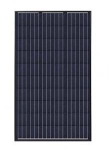 Wholesale Black Frame 250W Monocrystalline Solar Panel For Roof System Waterproof Pump from china suppliers