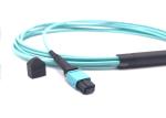 12 Fiber Fiber Optic Mpo To Mpo Patch Cable Jumper Apc Il 0.3db