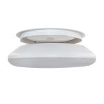 25W 12 Inch Slim Big Large Round Ceiling Light Fixture Lamp For Living Room