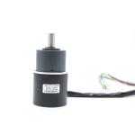 42mm Nema 17 Planetary Gearbox Reduction 700 Rpm 0.12nm 42bly01a 002ag5